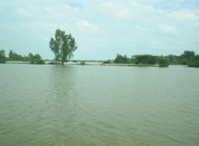 P10_14.JPG