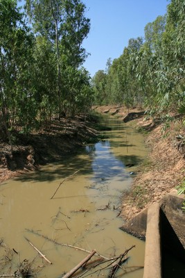 P10_16.jpg
