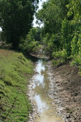 P10_17.jpg