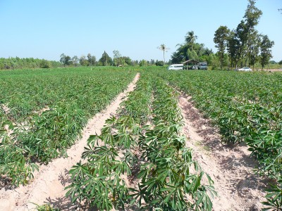 P10_19.jpg