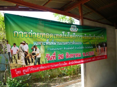 P10_20.jpg
