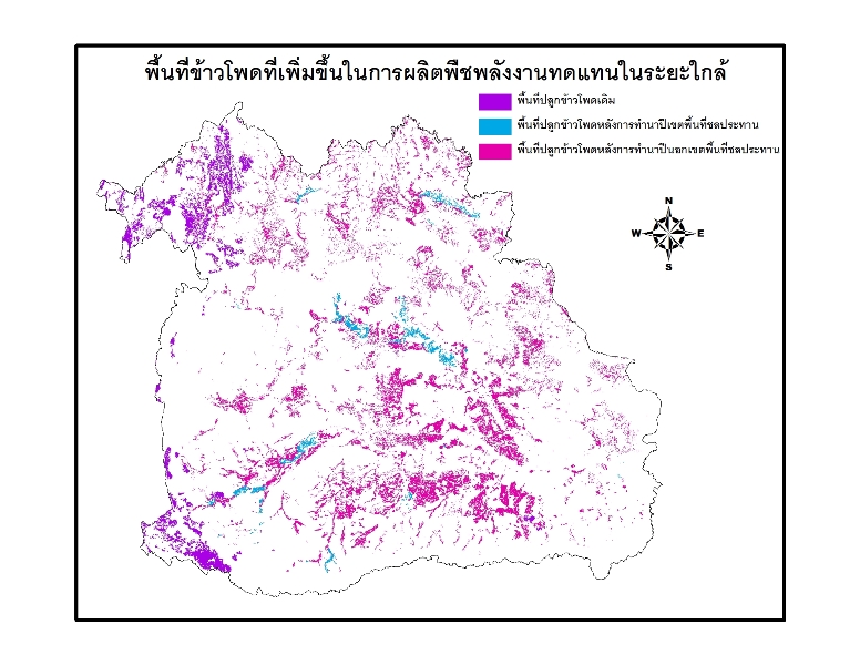 P10_25.jpg