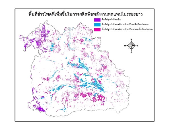P10_26.jpg