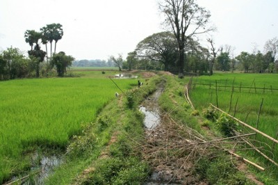 P4_11.jpg