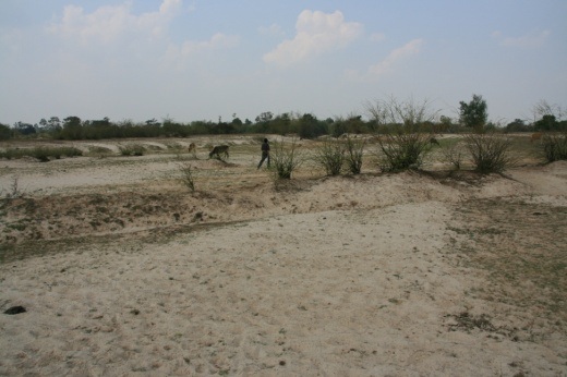 P4_12.jpg