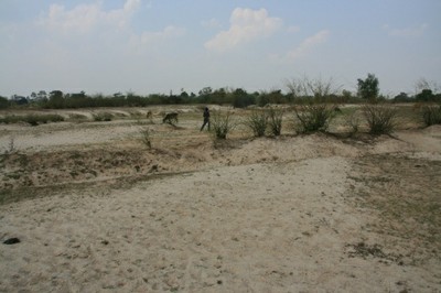 P4_12.jpg