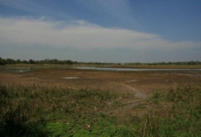 P4_8.jpg