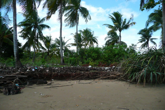 P6_16.jpg
