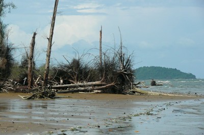 P6_19.jpg