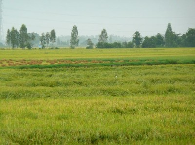 p14_9.JPG