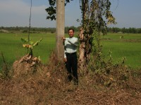 P10_12.jpg P10_12.jpg