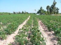 P10_19.jpg P10_19.jpg