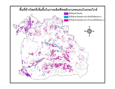 P10_25.jpg P10_25.jpg